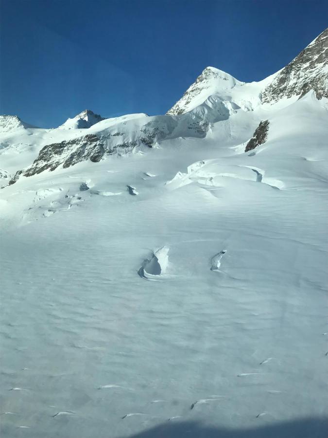 Chalet Burglauenen Grindelwald Bagian luar foto